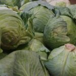 Zelí je nové maso: 5 receptů, které vás naučí vařit levně a chutně